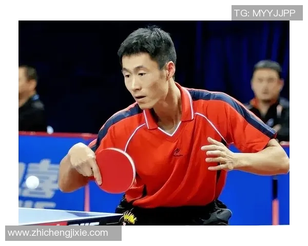 北京乒乓球队个人能力深度解析与发展策略探讨