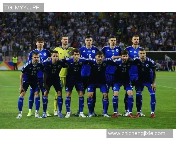 波黑足球明星名单揭晓他们在国际赛场上的辉煌成就与影响力