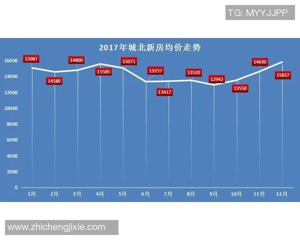 独家解析成都网球队技术特点与其他城市球队的比较分析