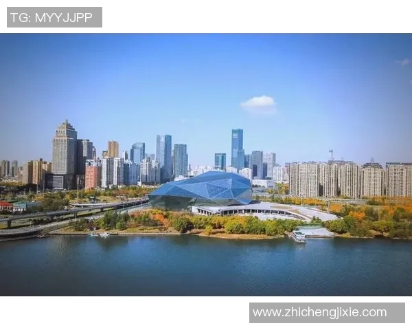 沈阳足球发展的迫切需求与城市文化融合的深远意义探讨