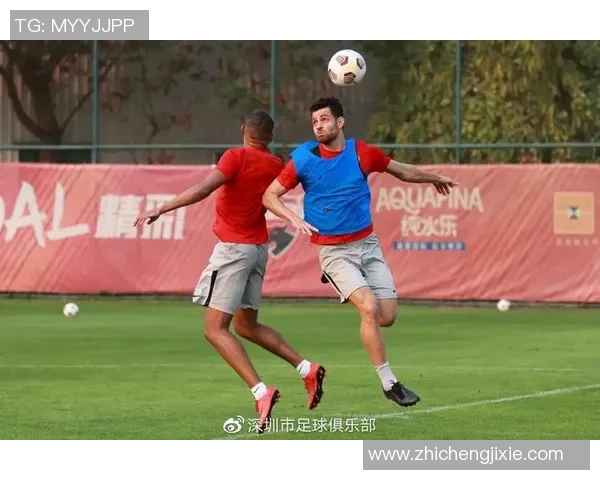 深圳篮球队默契配合的关键因素与战术分析探讨