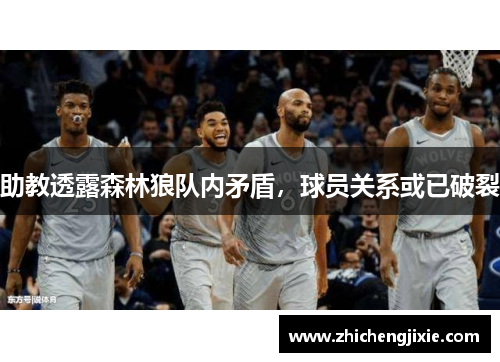 助教透露森林狼队内矛盾，球员关系或已破裂