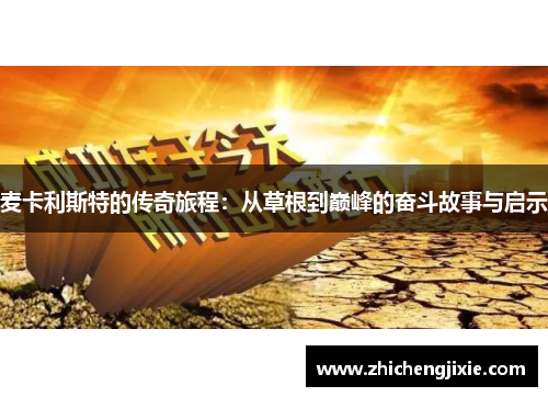 麦卡利斯特的传奇旅程：从草根到巅峰的奋斗故事与启示