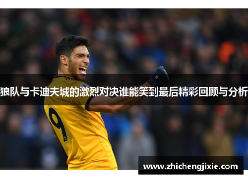 狼队与卡迪夫城的激烈对决谁能笑到最后精彩回顾与分析