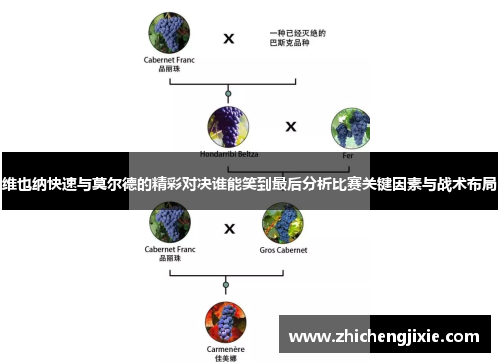 维也纳快速与莫尔德的精彩对决谁能笑到最后分析比赛关键因素与战术布局